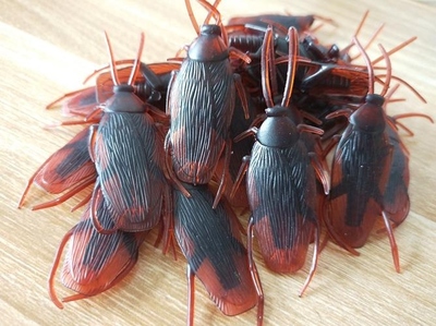 小强一页 玩具工厂的销售奇迹